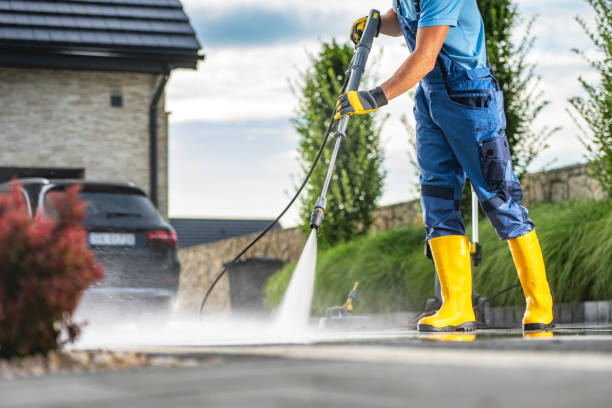 Best Gutter Cleaning and Brightening in Sealy, TX